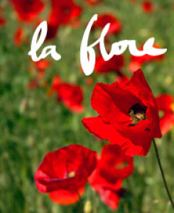 Photo de Flore
