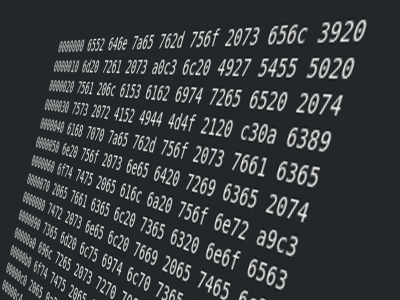 Pour "hacker" le Festival des Arts Numériques 2018, il va falloir bien plus qu'un simple hexdump !