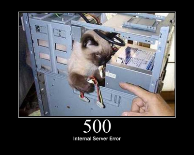Le quotidien d'un admin système... because Internet is made of cats.