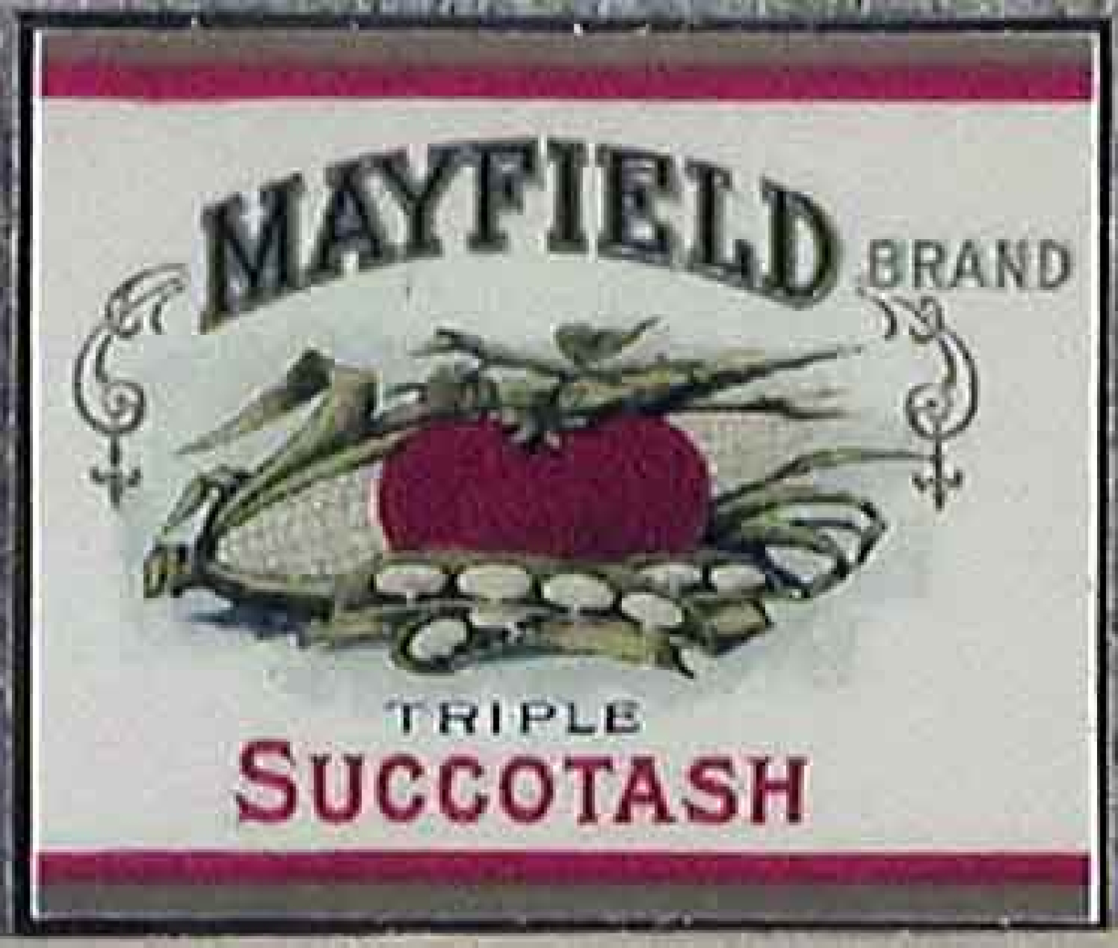 Succotash - 30.05.2007 - Mercredi 30 mai 2007