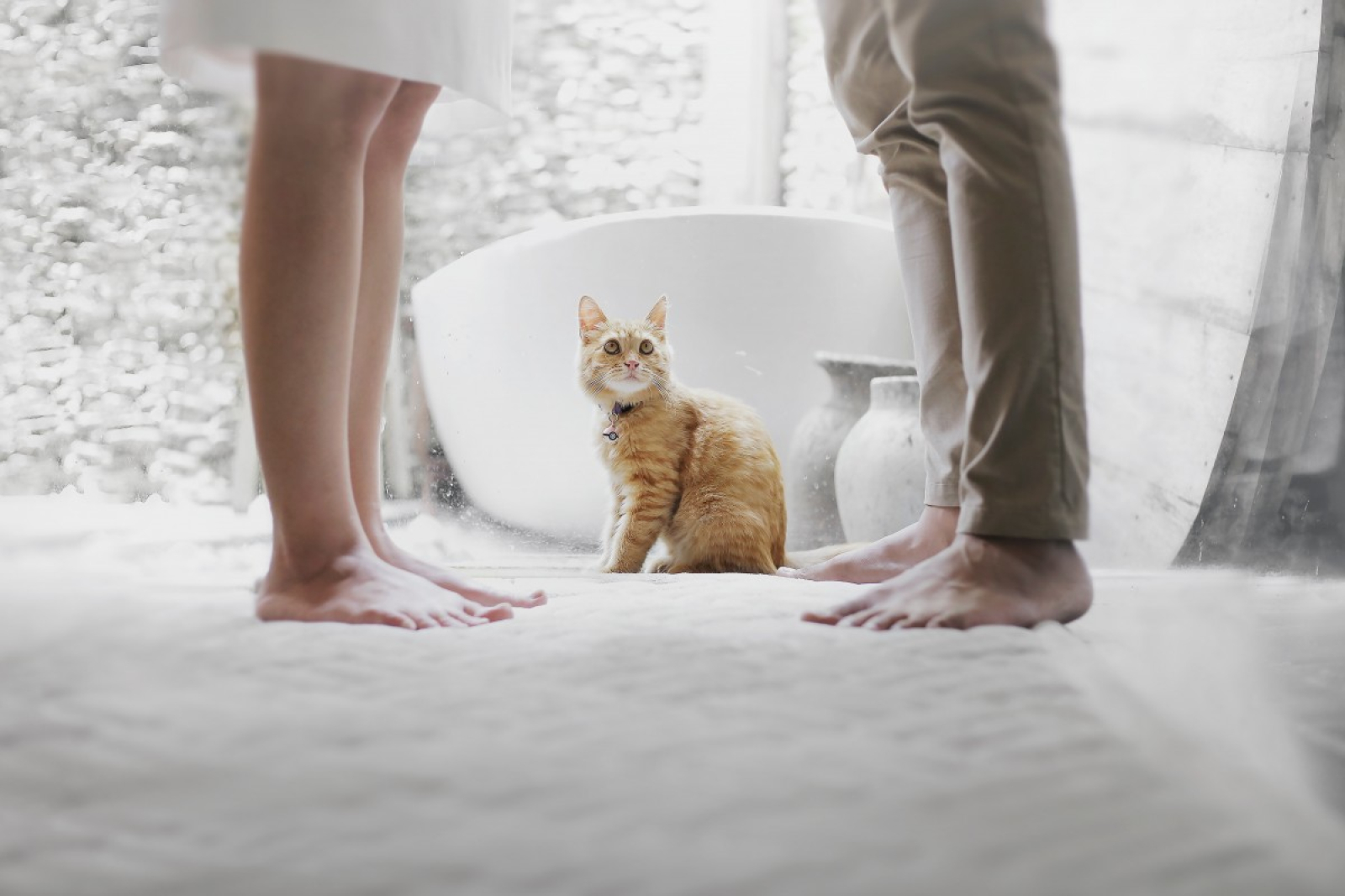 Tu t\'es vu quand tabou ?