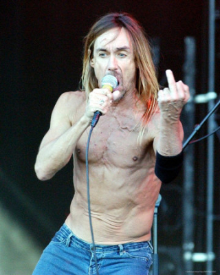 Iggy vieillit, fait des albums de reprises bizarres mais il vous emmerde !