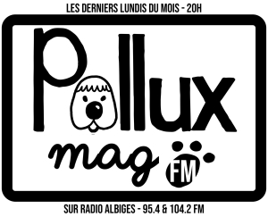 Pollux Mag