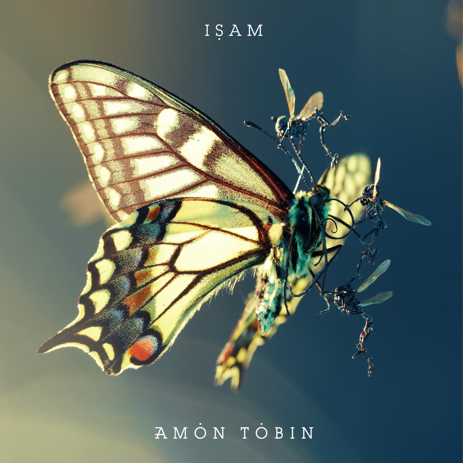 XPerimental - 22.09.2012 - Track By Track N°4 : ISAM, Amon Tobin episode artwork