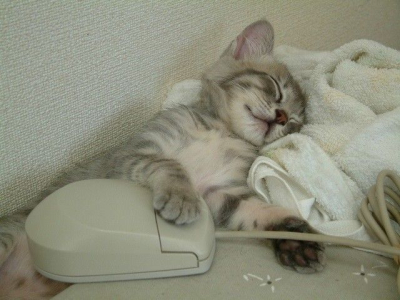 Le repos des braves !