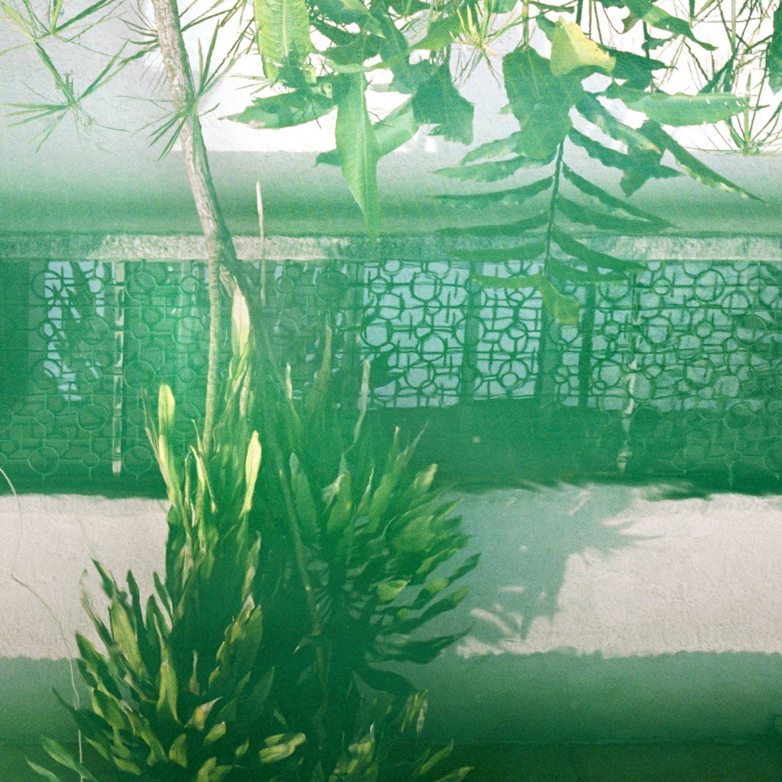XPerimental - 27.04.2013 - Track By Track n°19 : Electric Electric, Discipline episode artwork