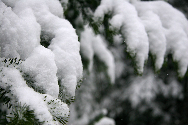 De la neige à Noël ? À RADIOM, très certainement !