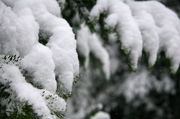 De la neige à Noël ? À RADIOM, très certainement !