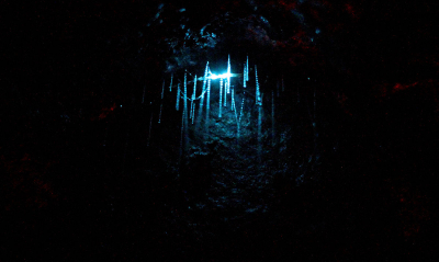 Glowworms playing "hide and seek"