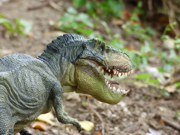 Le T-Rex, mis à part pour ses membres antérieurs, souffre-t-il d'autres atrophismes handicapants ?