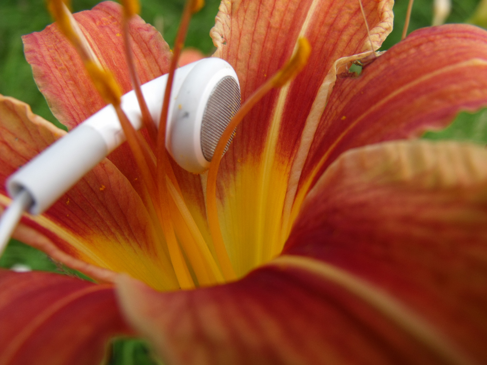 Ondes Sensibles