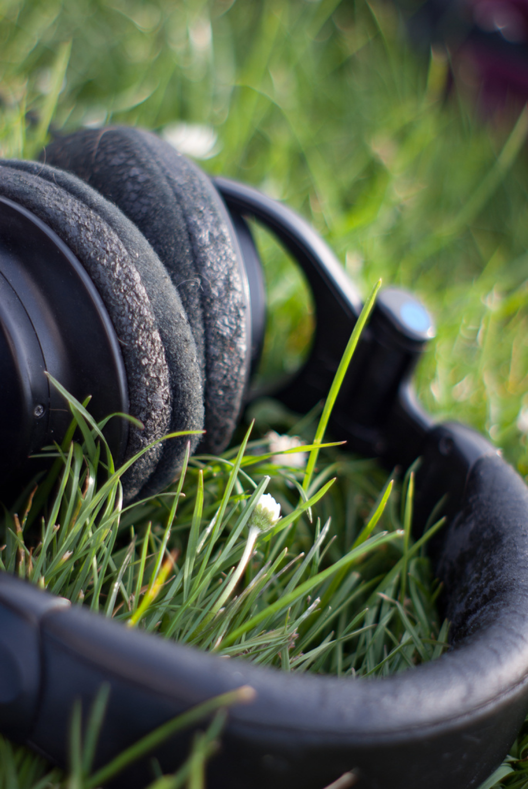 Ondes Sensibles