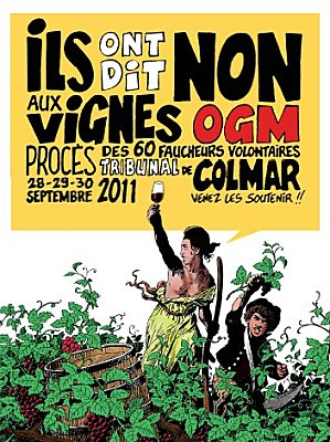 Viens vendanger seins nus !